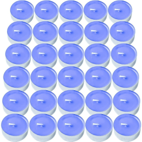 DecorRack 30 Blueberry Scented Tealight Candles